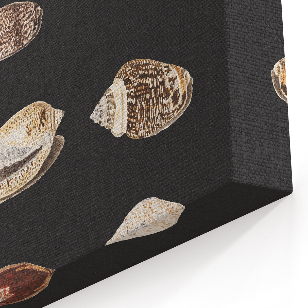 Vintage Grunge Art | Grunge Canvas Print | Urban Grunge Shell Art
