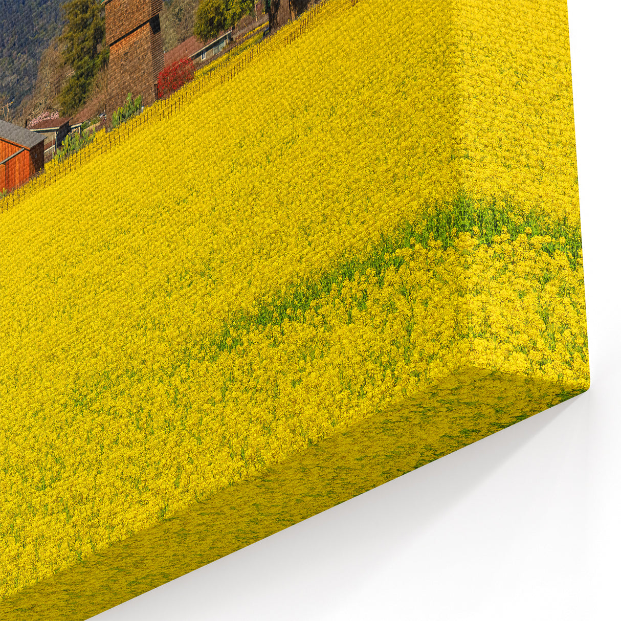 Napa Valley Countryside Barns – Scenic California Wine Country Wall Art