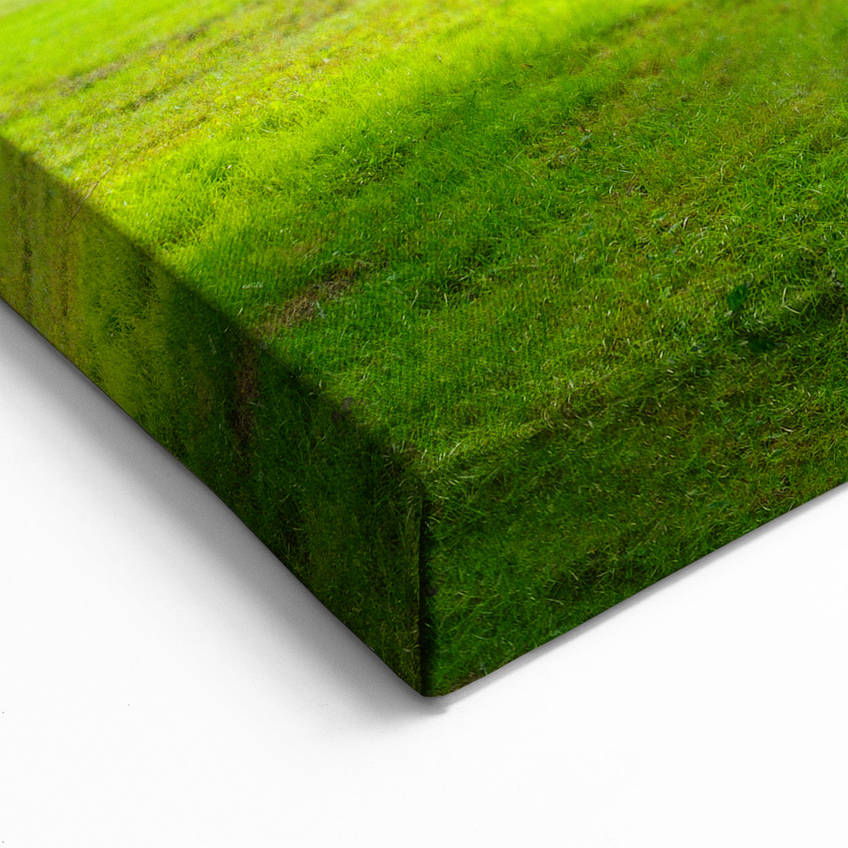 Historic New Jersey Scenes – Sunlit Tree Landscape Art Print