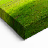 Historic New Jersey Scenes – Sunlit Tree Landscape Art Print