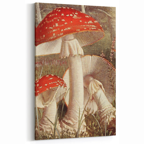 Grunge Wall Art - Vintage Mushroom Illustration Print - Retro Grunge Decor