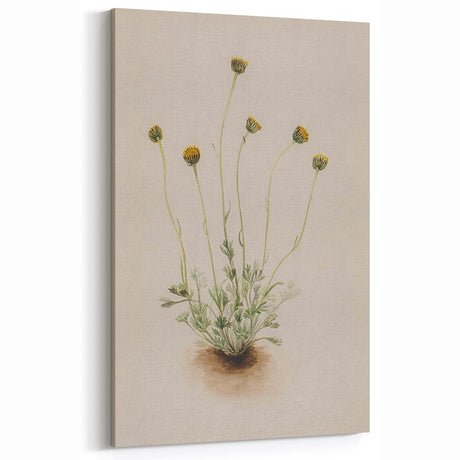 Botanical Flower Grunge Wall Art - Vintage Grunge Canvas Print Decor