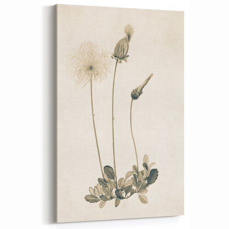 Delicate Floral Grunge Wall Art - Vintage Grunge Canvas Print for Decor
