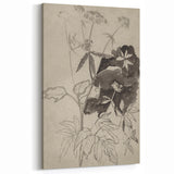 Botanical Black and White Grunge Wall Art - Vintage Grunge Canvas Print