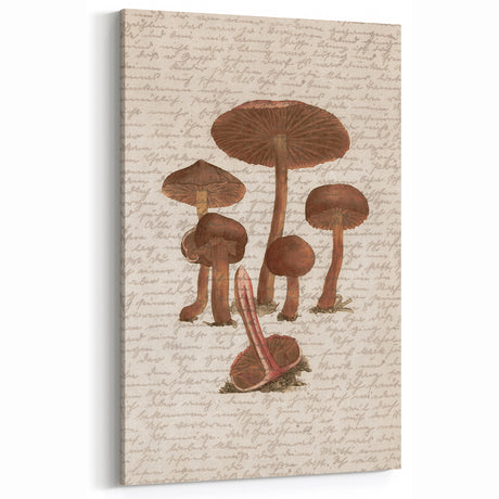 Vintage Mushroom Grunge Wall Art - Botanical Grunge Canvas Print Decor