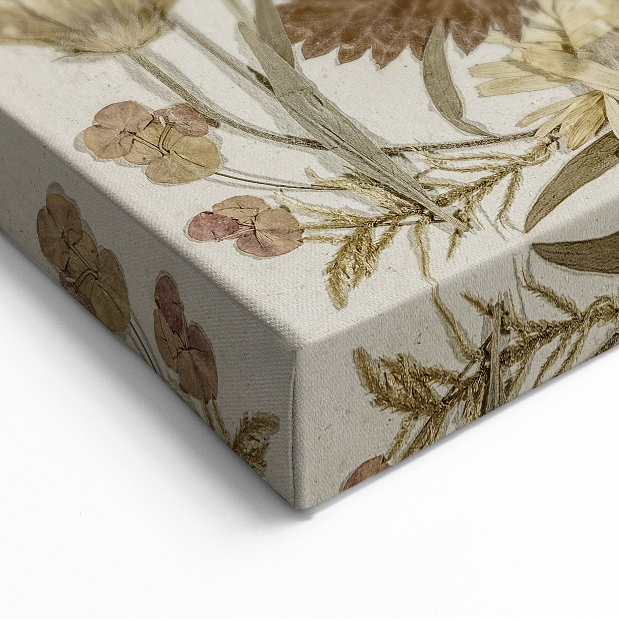 Pressed Botanical Grunge Wall Art - Vintage Floral Grunge Canvas Print