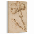 Grunge Wall Art Vintage Floral Sketch Abstract Grunge Canvas Print