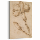 Grunge Wall Art Vintage Floral Sketch Abstract Grunge Canvas Print