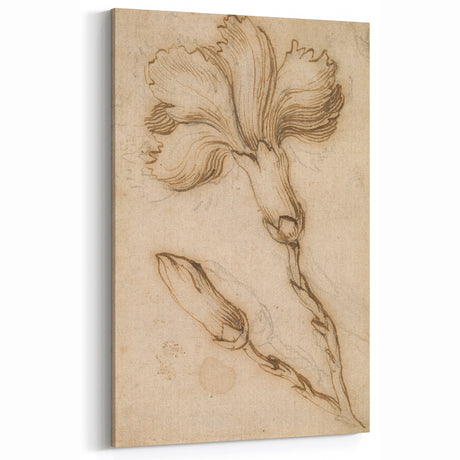 Grunge Wall Art Vintage Floral Sketch Abstract Grunge Canvas Print