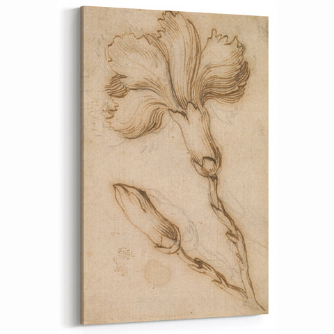 Grunge Wall Art Vintage Floral Sketch Abstract Grunge Canvas Print