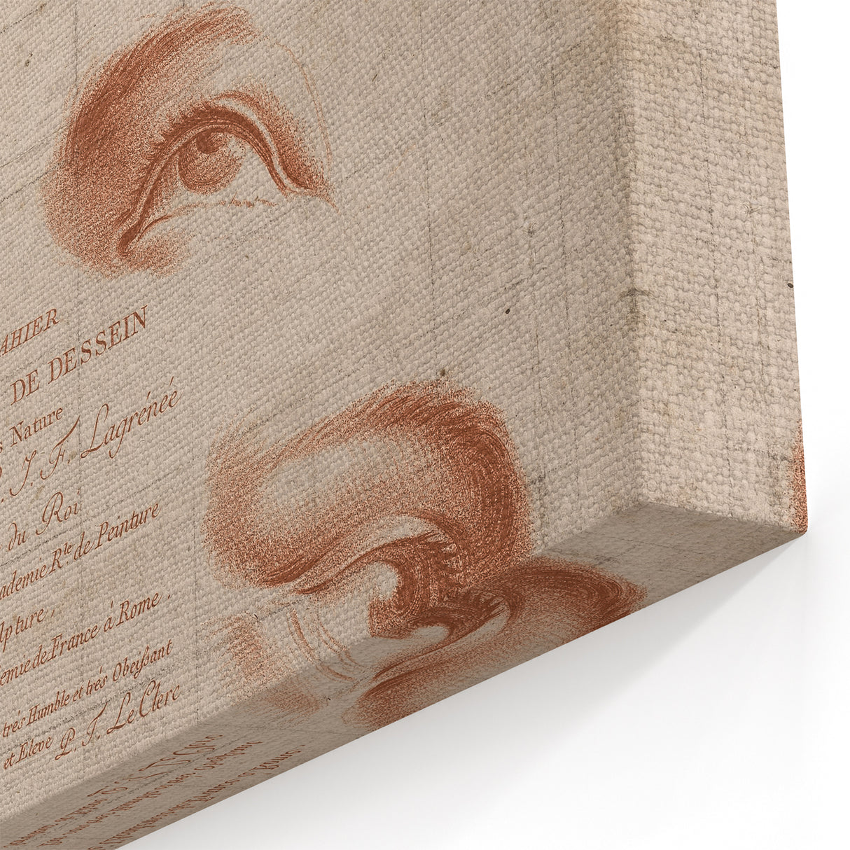 Grunge Wall Art | Vintage Eye Anatomy Study | Abstract Grunge Print