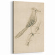 Grunge Wall Art | Vintage Bird Sketch | Abstract Grunge Nature Print
