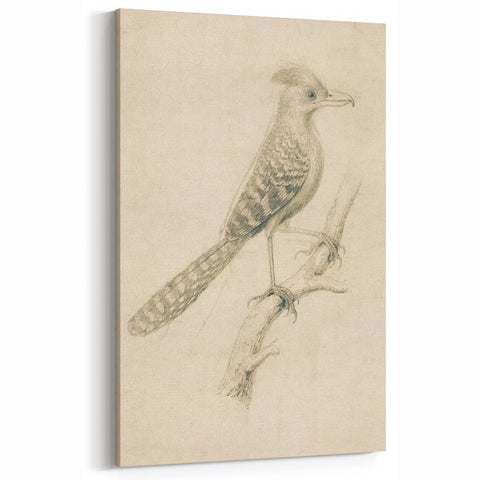 Grunge Wall Art | Vintage Bird Sketch | Abstract Grunge Nature Print