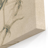 Grunge Wall Art | Vintage Bird Sketch | Abstract Grunge Nature Print