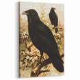 Grunge Wall Art | Vintage Raven Bird Sketch | Abstract Grunge Nature Print