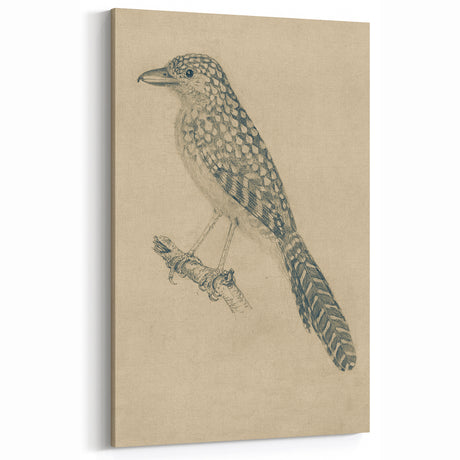 Vintage Grunge Wall Art - Abstract Bird Sketch Grunge Canvas Print Decor