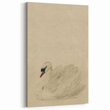 Grunge Wall Art - Vintage Swan Sketch Grunge Canvas Print for Modern Decor