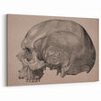 Grunge Skull Wall Art | Urban Grunge Aesthetic Art | Vintage Skull Print