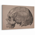Grunge Skull Wall Art | Urban Grunge Aesthetic Art | Vintage Skull Print
