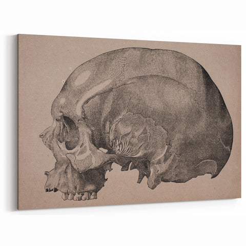 Grunge Skull Wall Art | Urban Grunge Aesthetic Art | Vintage Skull Print