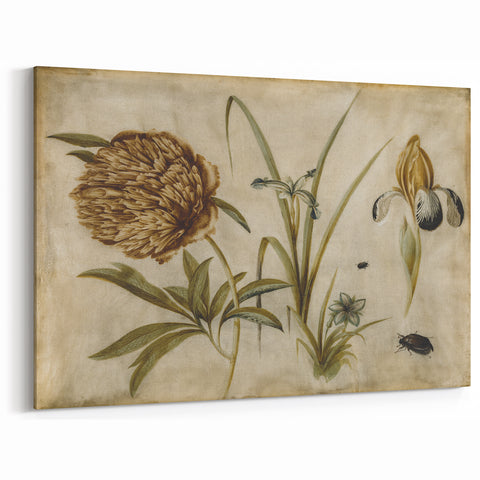 Grunge Wall Art: Botanical Insects Illustration | Vintage Grunge Canvas Print