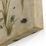 Grunge Wall Art: Botanical Insects Illustration | Vintage Grunge Canvas Print