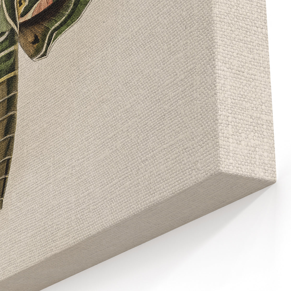 Grunge Wall Art: Moth Design | Vintage Grunge Canvas Print for Modern Homes
