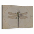 Grunge Wall Art: Dragonfly Illustration | Vintage Grunge Canvas Print