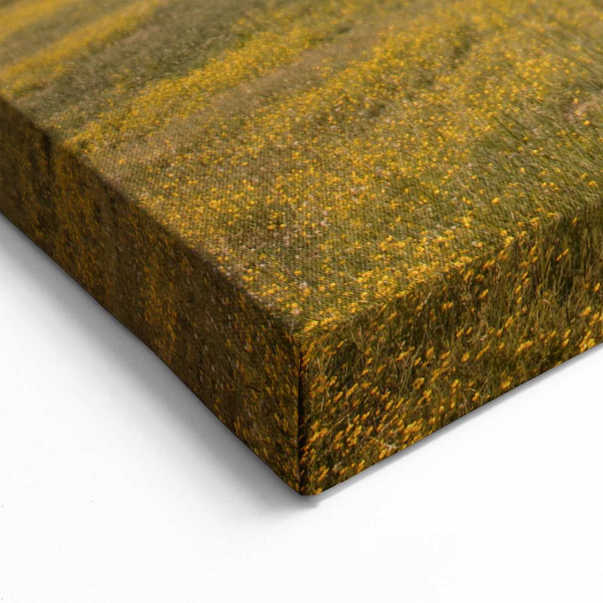 Mississippi Landscape Art - Peaceful Countryside Canvas Prints