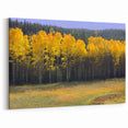 New Mexico Scenic Art – Vibrant Aspen Trees in Fall Landscape Wall Decor