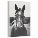 Black and White Horse Portrait – Rustic Farmhouse Wall Art Decor