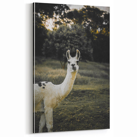 Llama Rustic Wall Art – Farmhouse Animal Decor with Nature’s Charm