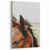 Rustic Horse Close-Up Wall Art – Farmhouse Decor with Natural Elegance