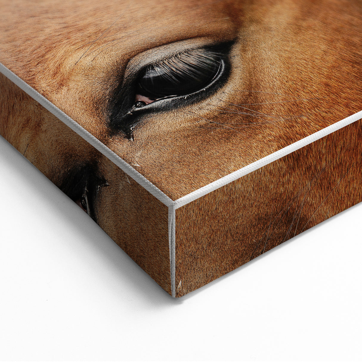 Rustic Horse Close-Up Wall Art – Farmhouse Decor with Natural Elegance