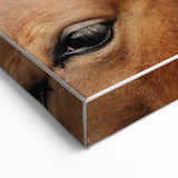 Rustic Horse Close-Up Wall Art – Farmhouse Decor with Natural Elegance
