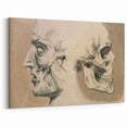 Grunge Aesthetic Art: Vintage Skull & Anatomy Grunge Wall Art on Canvas