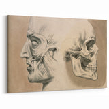 Grunge Aesthetic Art: Vintage Skull & Anatomy Grunge Wall Art on Canvas