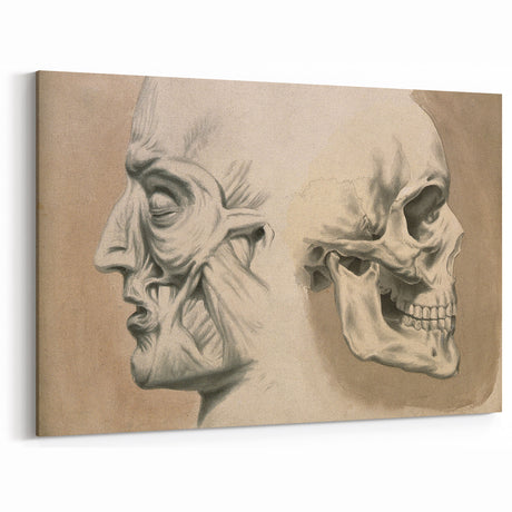 Grunge Aesthetic Art: Vintage Skull & Anatomy Grunge Wall Art on Canvas