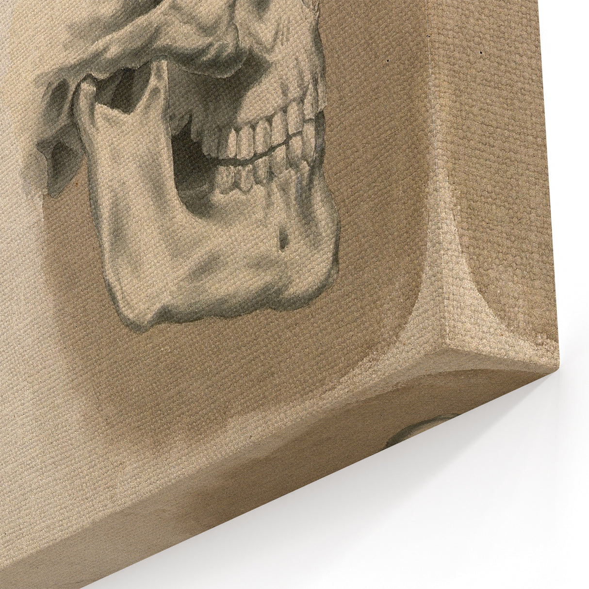 Grunge Aesthetic Art: Vintage Skull & Anatomy Grunge Wall Art on Canvas