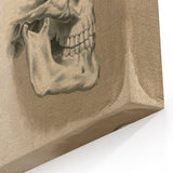Grunge Aesthetic Art: Vintage Skull & Anatomy Grunge Wall Art on Canvas