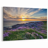 Scotland Wall Art - Sunset Over Scottish Coastal Flowers