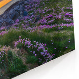 Scotland Wall Art - Sunset Over Scottish Coastal Flowers