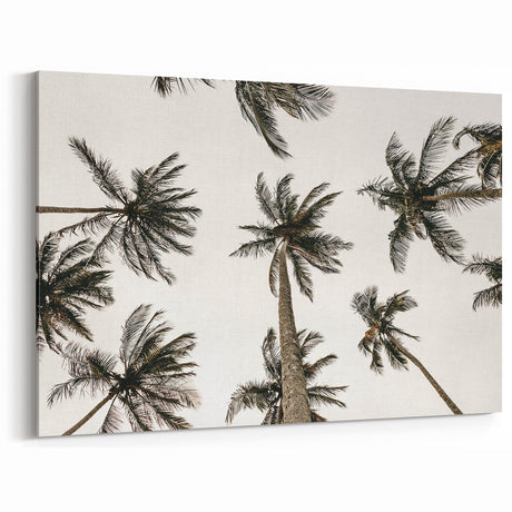 Tropical Palm Tree Wall Art – Coastal Beach-Themed Seaside Print