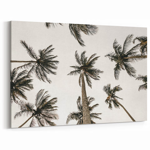 Tropical Palm Tree Wall Art – Coastal Beach-Themed Seaside Print