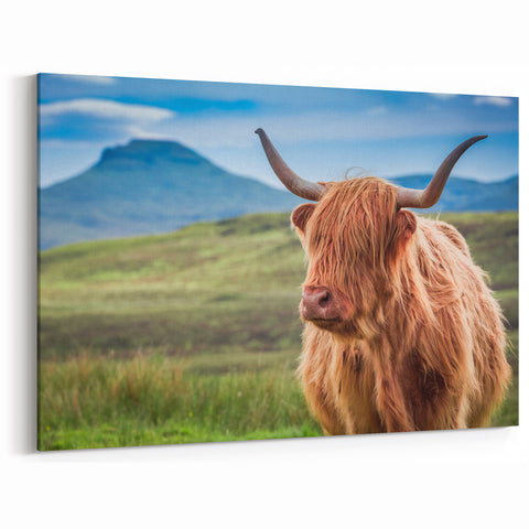 Scottish Scenery Posters - Highland Cow in Scottish Landscape