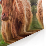 Scottish Scenery Posters - Highland Cow in Scottish Landscape