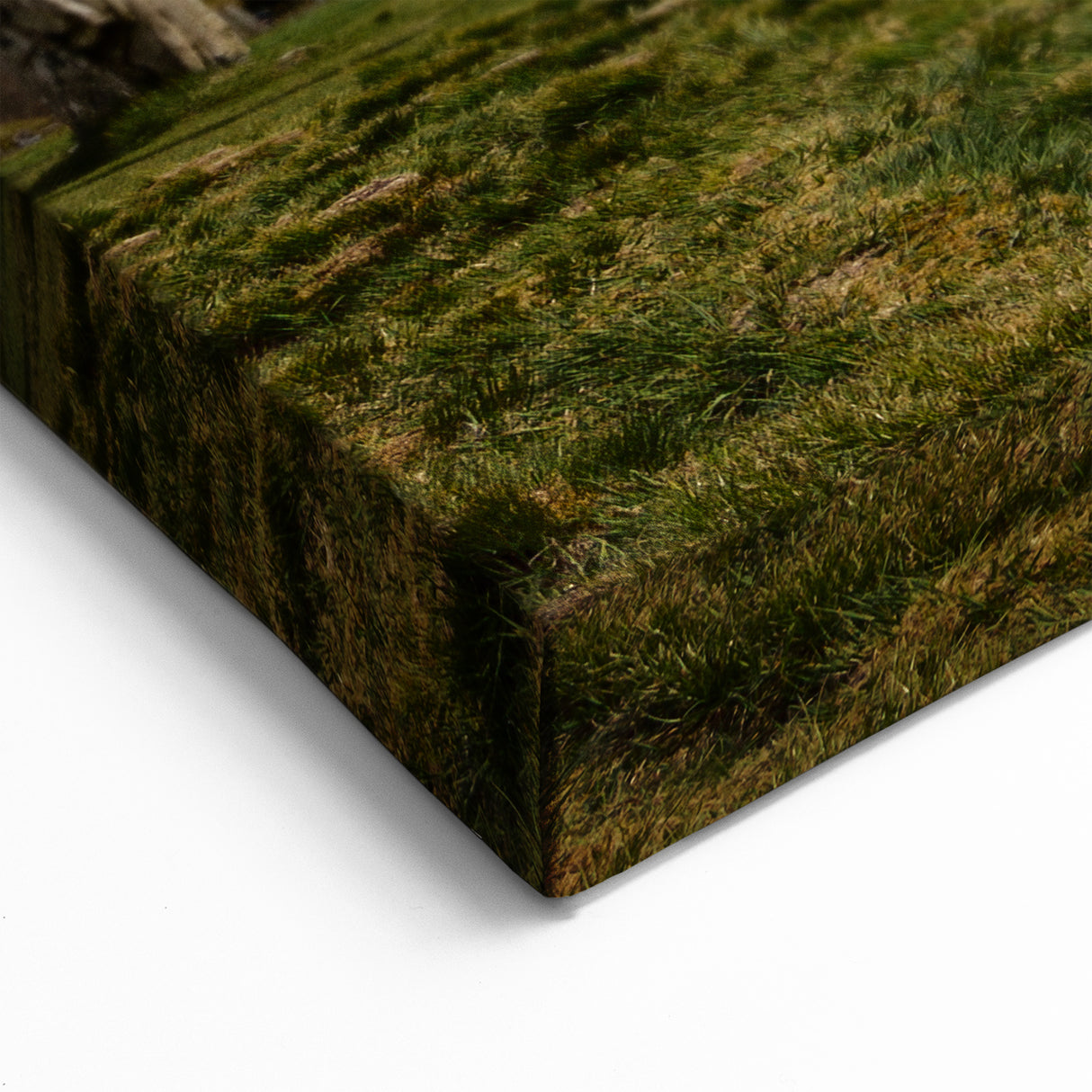 Scottish Landscape Art - Northern Lights Over Callanish Stones