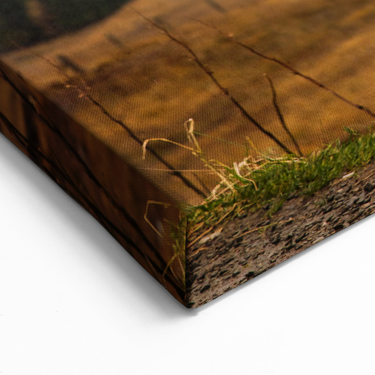 Highland Wall Art - Majestic Stag in Scottish Highlands