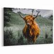 Highland Wall Art – Majestic Scottish Cow in the Rugged Highlands