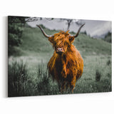 Highland Wall Art – Majestic Scottish Cow in the Rugged Highlands